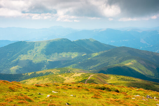 carpathian mountain landscape in august. scenic alpine terrain of ukraine in the afternoon. background image for hiking through chornohora ridge. popular travel destination