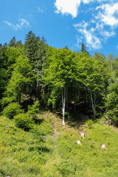 Landscape photo of Rausor Dam in the Iezer Mountains in Romania.