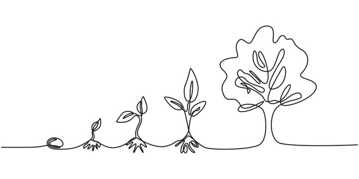 Continuous one line drawing growing plant. Seeds sprout in ground. Seedling gardening plants, sprouts. Single line draw vector graphic illustration, growth tree continuous one line drawing, pro