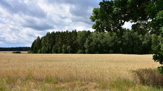 landscape od cycle way in region of town Trebon in Czech republic
