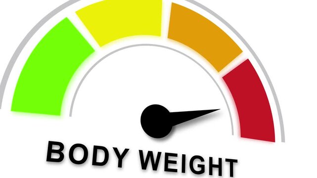 Animated body weight gauge meter moving from green to red indicating increasing mass and health risk levels for medical fitness programs, weight loss tracking, and nutritional wellness presentations