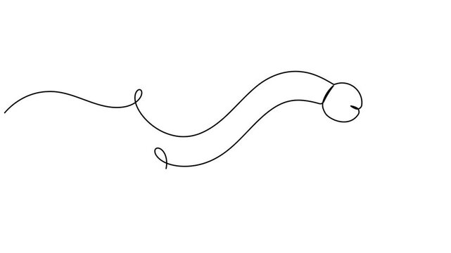 Human reproductive system and penis icon sign continuous one line drawing moving on white background minimalist single art male anatomy organ symbol animation video