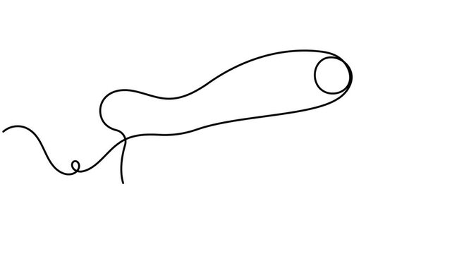 Human reproductive system and penis icon sign continuous one line drawing moving on white background minimalist single art male anatomy organ symbol animation video