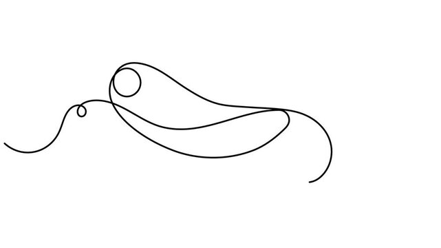 Human reproductive system and penis icon sign continuous one line drawing moving on white background minimalist single art male anatomy organ symbol animation video