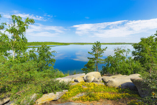 Tranquil nature scene with shore calm lake and yellow wild flower Potentilla growing in  crevices of  gray rock with orange lichen. Harmony and relaxation concept. Lake Big Chebachye in Kazakhstan.