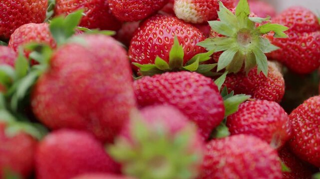 Strawberries closeup footage