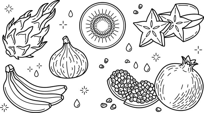 Exotic tropical fruits collection line art vector illustration with dragon fruit kiwi starfruit banana fig and pomegranate icons.