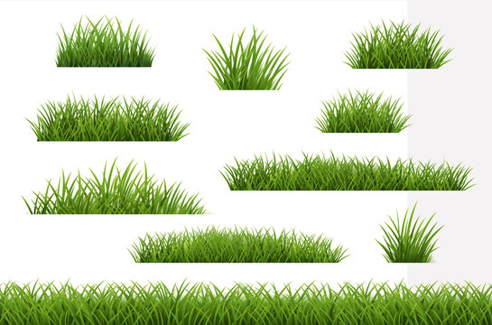 Green Grass Frame Collection White Background