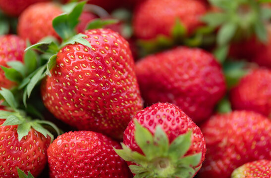 Strawberries closeup view horizontal