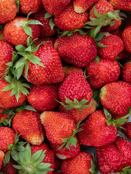 Strawberries closeup view vertical