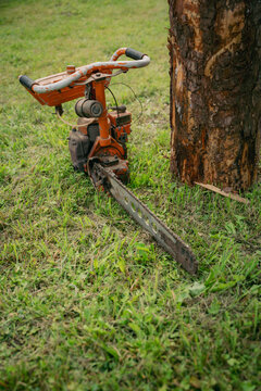 Zaube, Latvia &ndash; August 2, 2026: Vintage Soviet-era Druzhba chainsaw displayed beside a cut tree trunk.