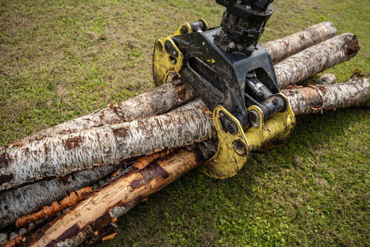 Hydraulic forestry grapple grips a stack of freshly cut birch logs during an outdoor machinery demonstration.