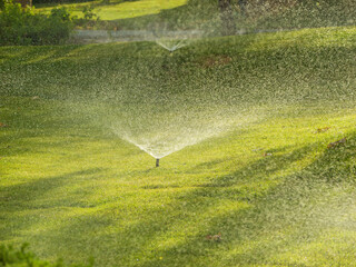 Obraz premium Automatic smart irrigation sprinkler system spraying fresh water on a lush green lawn in a sustainable backyard garden during a bright summer day, saving water with modern technology