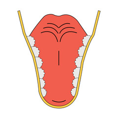 Human open mouth tongue teeth dental anatomy vector art © Angur