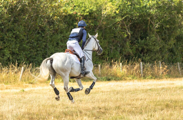 Naklejka premium Event Rider and horse cantering across a dry summer field on a cross country course. Horse and rider in cross country gear. Sport horse in action. Equestrian.