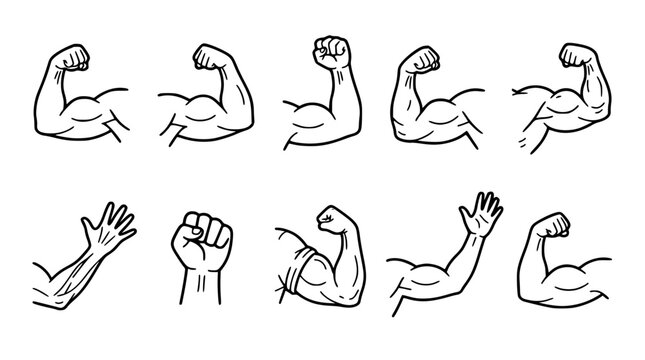 Strong Muscular Arm Flexing Biceps Silhouette and Line Vector Set Featuring Athletic Bodybuilding Poses Clenched Fists and Fitness Power Graphic Emblems
