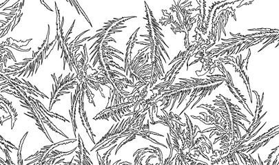 Fototapeta premium Delicate frost patterns on a white background creating a winter texture with fine crystalline structures