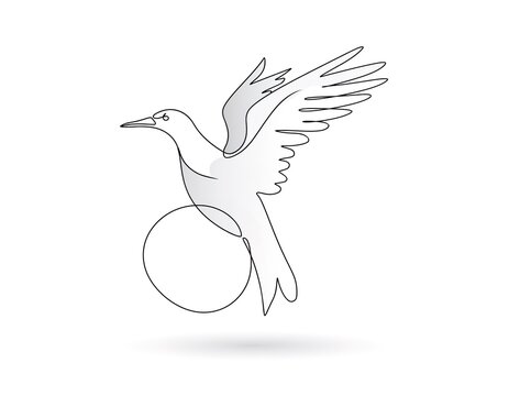 White bird soars gracefully above a circular form