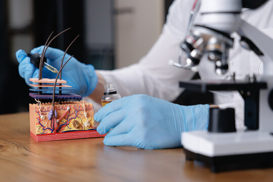 Closeup scientist handling skin model with dropper and microscope for dermatology medical education