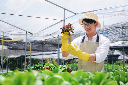 A man wearing a yellow apron is holding a plant in his hand