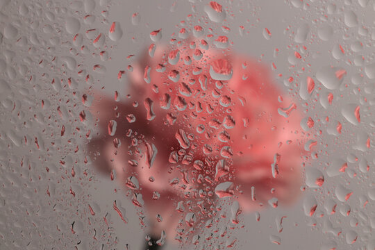 Smoke selected soft focus cream beige pink carnation Flower through glass with wet flow water drops. Abstract natural blur background.