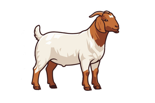 digital graphical element of a Boer Goat portrait in transparent background  