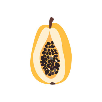 Papaya half illustration isolated on a transparent background
