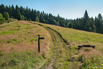 Szlak © piotrwolak