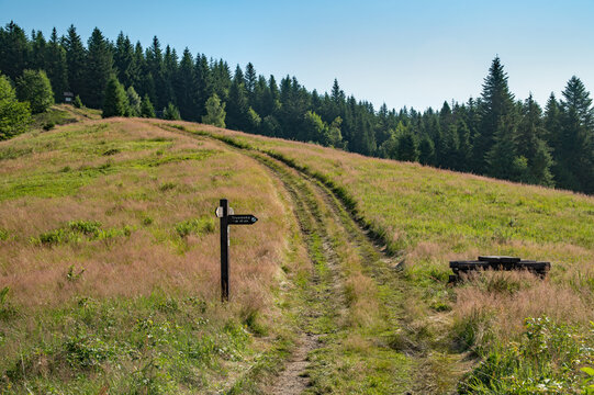 Szlak