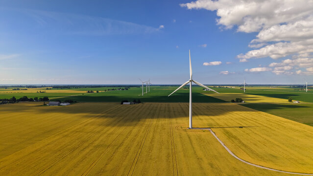 Wind turbines generating renewable energy in vast agricultural field