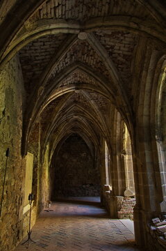 Ruin of the monastery "Rosa Coeli" in Dolni Kounice,Czech Republic,Europe

