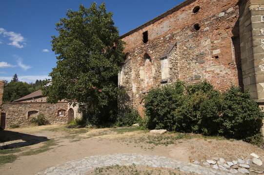 Ruin of the monastery "Rosa Coeli" in Dolni Kounice,Czech Republic,Europe
