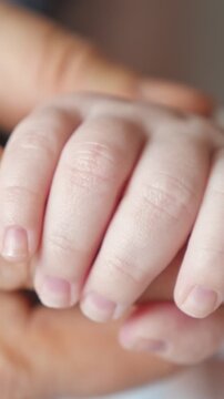 Delicate newborn baby's hand tightly grasping an adult's finger in a touching close up. The intimate gesture symbolizes family bonds, parental love, security, and the beginning of a new life