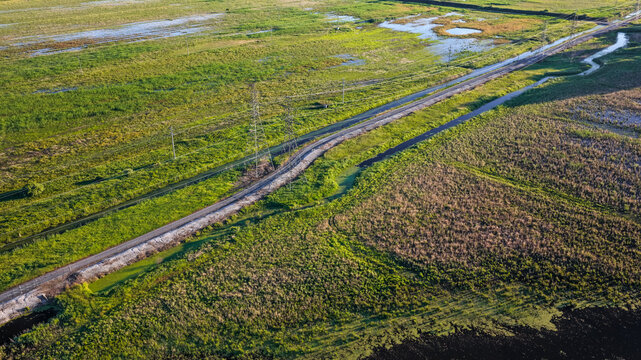Narrow road crossing wetlands and green fields