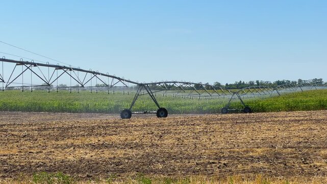 Center pivot irrigation system watering a corn field on a sunny day