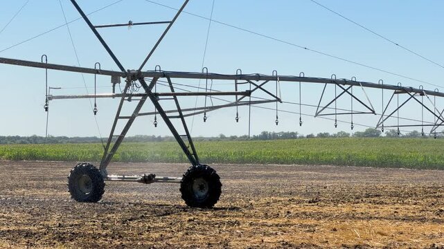 Center pivot irrigation system watering a corn field on a sunny day