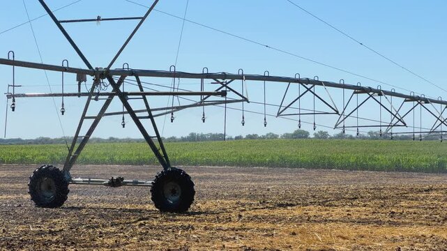 Center pivot irrigation system watering a corn field on a sunny day