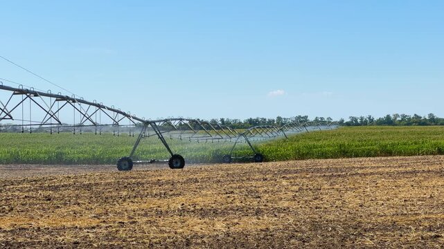 Center pivot irrigation system watering a corn field on a sunny day