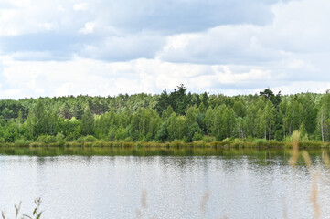 Fototapeta premium Lake near woodland with lush vegetation and calm water surface. Natural scenery represents peaceful retreat, environmental protection, wildlife habitat and countryside relaxation. Forest outdoor mood