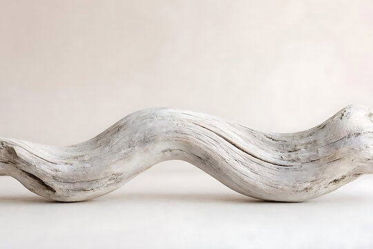 Elegant piece of weathered driftwood with graceful organic curves and flowing