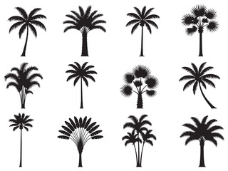 Naklejka premium Palm Tree Silhouette Vector Set Tropical Black Palm Trees Collection