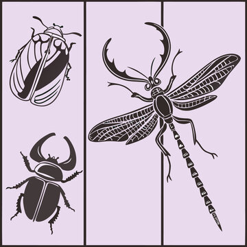 Vintage insect collection vector set, detailed line art illustration of dragonfly, stag beetle, and moth isolated on background