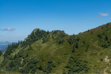 panoramic view of the lush green alpine pastures and rolling mountain slopes of and around Diedamskopf in Bregenzerwald, Vorarlberg, Austria, bathed in bright summer sunlight beneath a clear blue sky © Oliver Dünser