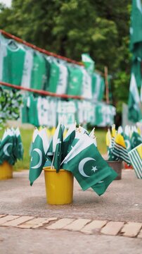 Small Pakistan Flags Displayed Together for Independence Day Celebration