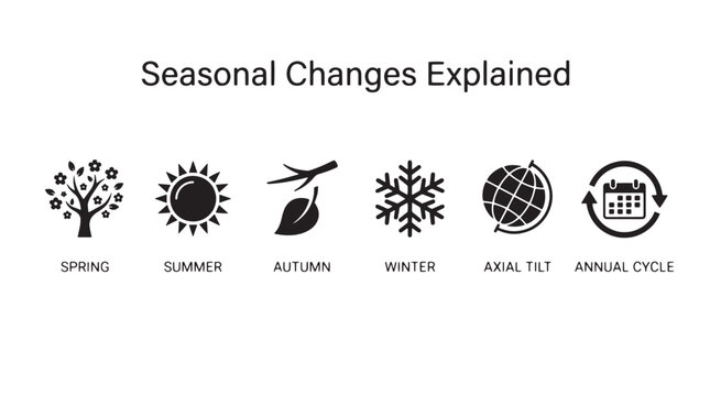 Educational seasonal changes infographic, set of 6 black weather icons, spring summer autumn winter cycle symbols for science and geography isolated on Transparent Background