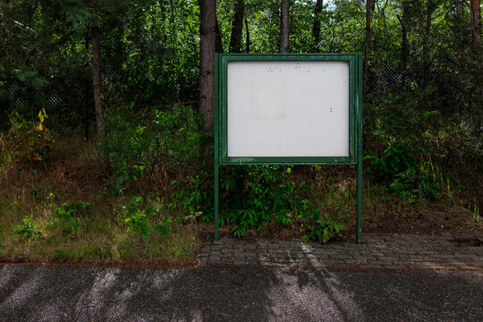 An empty green notice board on posts stands beside a wet cobbled road at the edge of a pine forest.