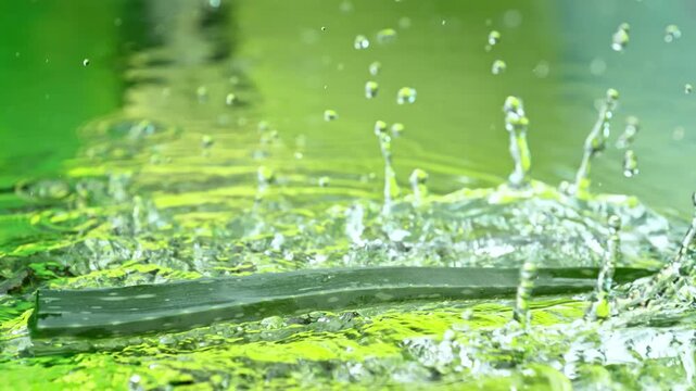 Super Slow Motion Shot of Aloe Vera Leaf Falling into Water and Making Splash at 1000fps.