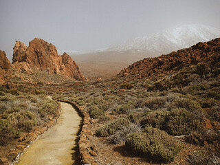 road in the desert tenerife © Viktoriia