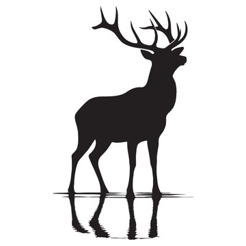 The elk is one of the largest members of the deer family. It lives in forests, mountains, and grasslands. Elk have strong legs and large antlers, which grow on the males. They eat grass, leaves.