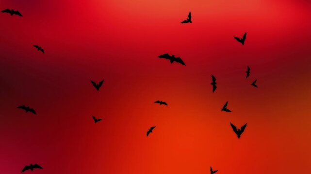 Black Bats Flying Randomly on Red 4K Loop features black vector style bats flapping their wings and flying randomly with a flickering orange background in a loop.